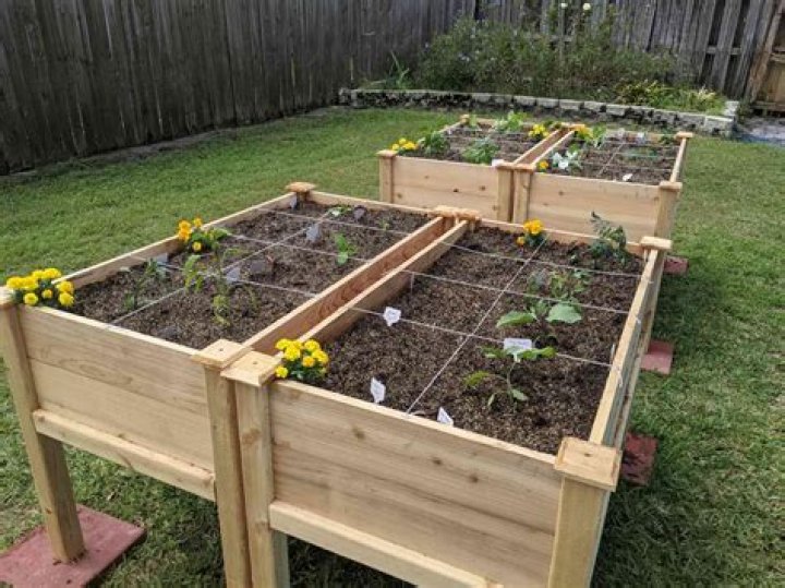 Do you need drainage in raised garden beds