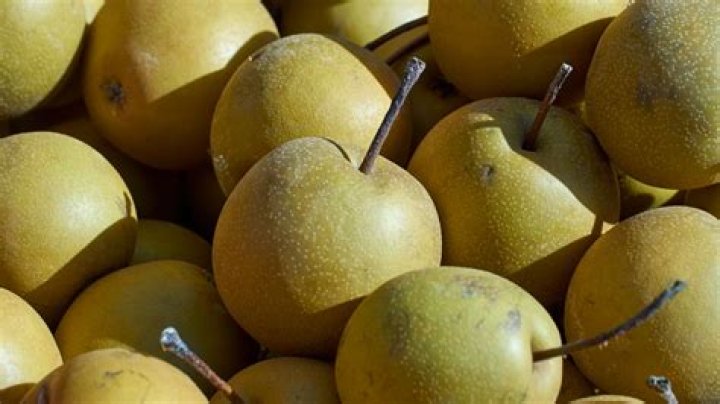 Do you refrigerate Asian pears