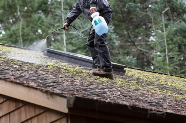 Do you water after applying moss killer