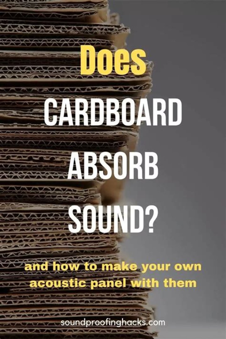 Does a rug absorb sound