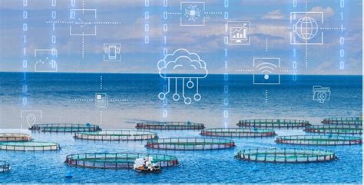 Does aquaculture have a future