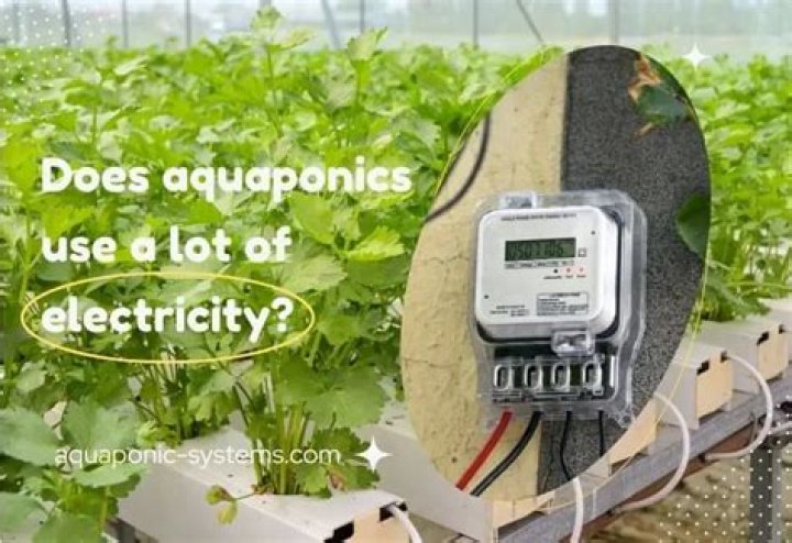 Does Aquaponics require electricity