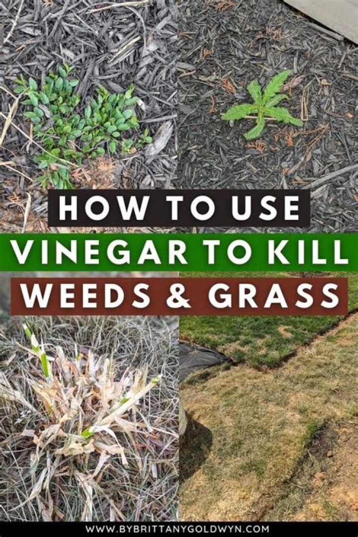 Does baking soda and vinegar kill weeds
