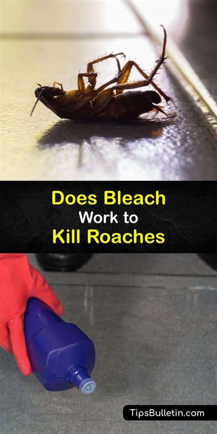 Does bleach keep roaches away