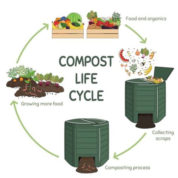 Does compost work as fertilizer