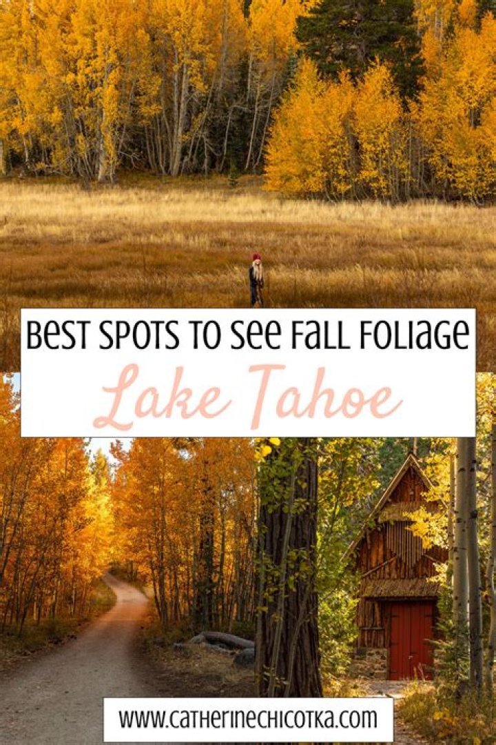 Does Fallen Leaf Lake freeze