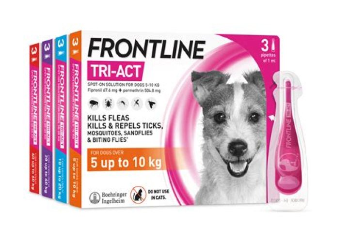 Does Frontline wash off after a bath