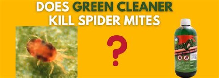 Does green cleaner kill spider mites