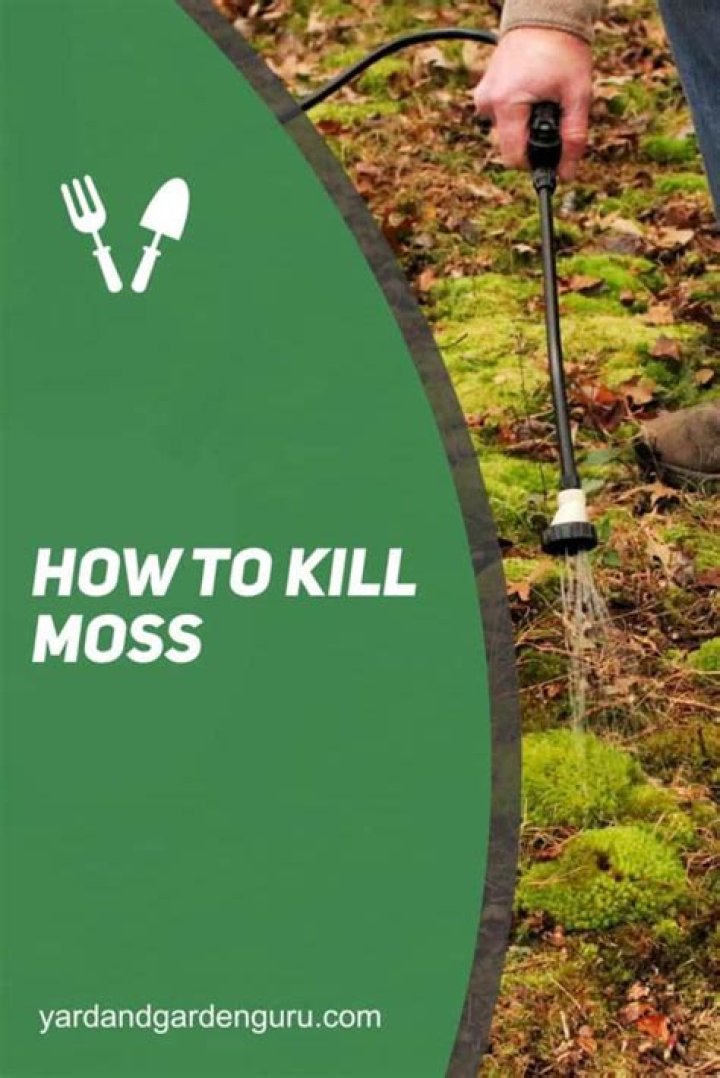 Does jomax kill moss