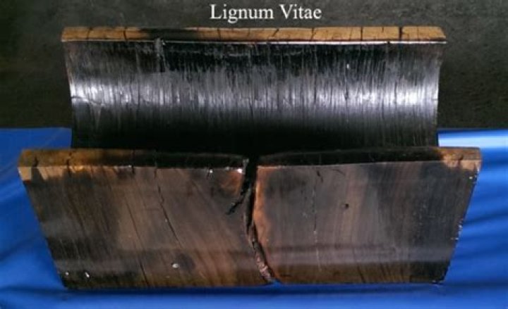 Does lignum vitae burn