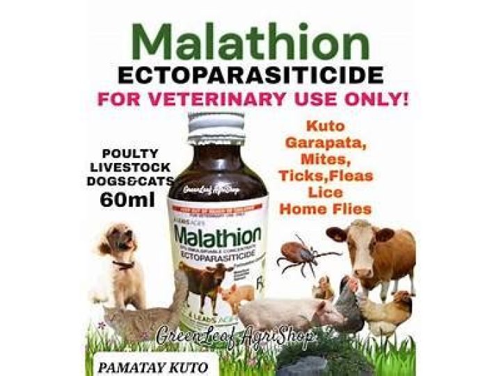Does malathion kill fleas