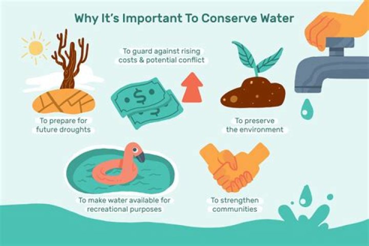 Does mold need water to survive