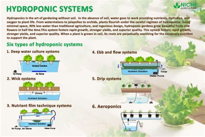 Does pot size matter in hydroponics