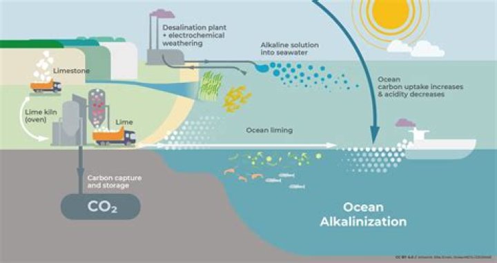 Does rain increase or decrease alkalinity in pool