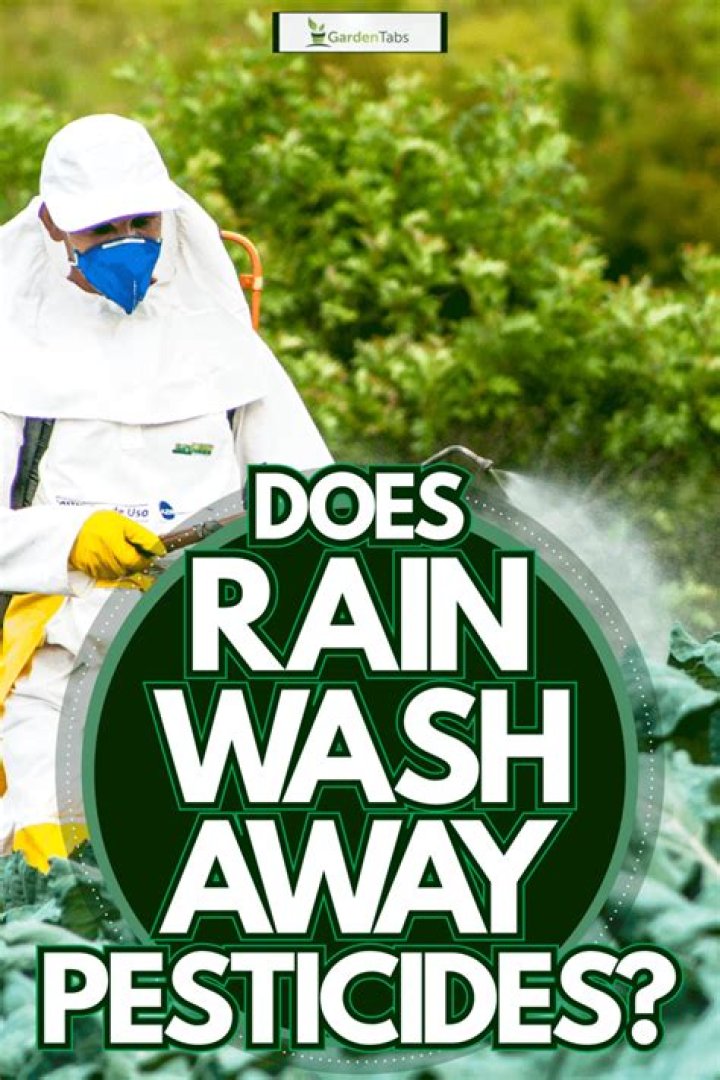 Does rain wash away mosquito spray