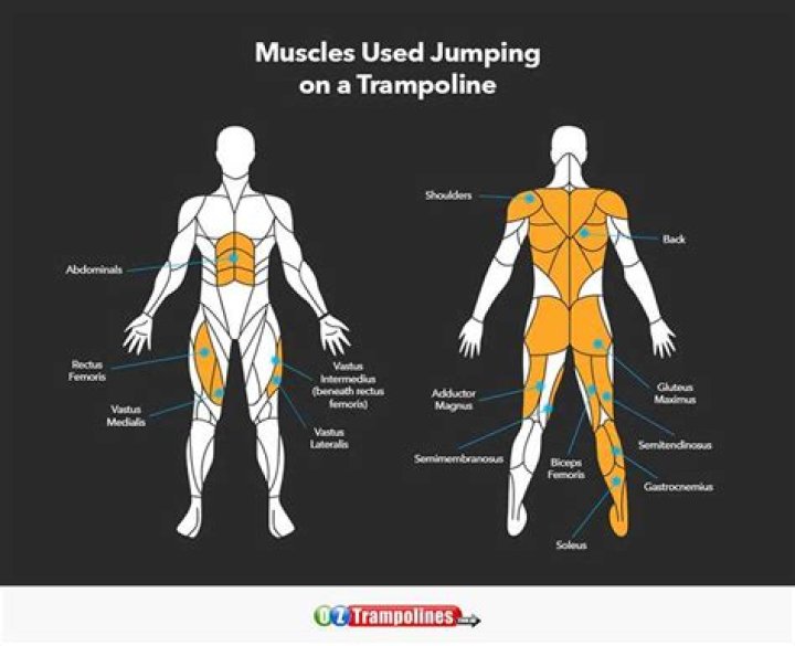 Does rebounding build muscle