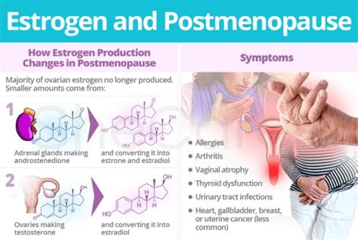 Does Rosemary decrease estrogen
