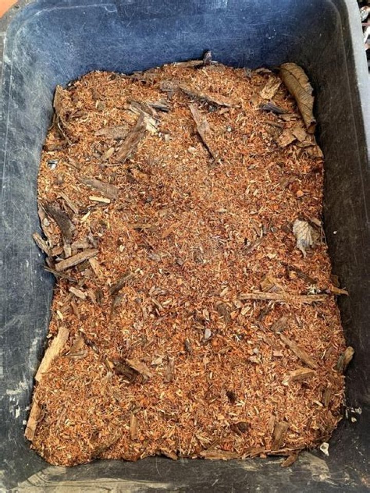Does sawdust kill plants