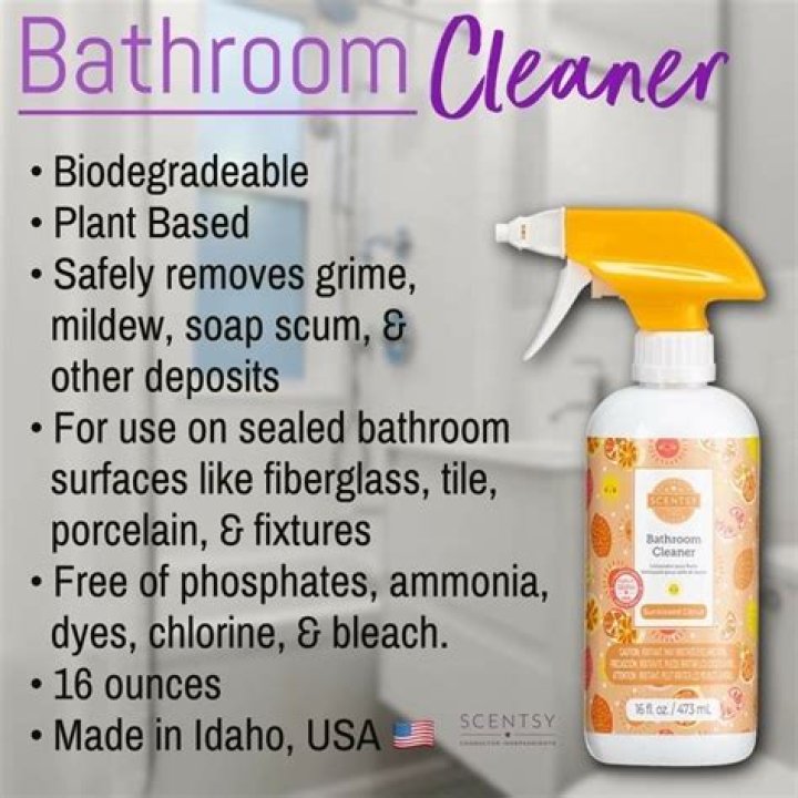 Does Scentsy cleaner kill germs
