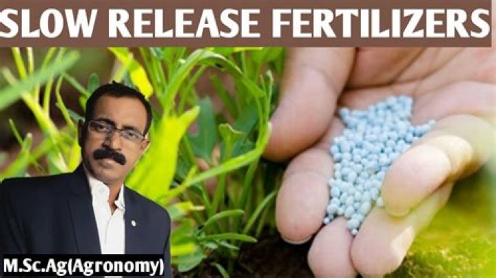 Does slow release fertilizer work
