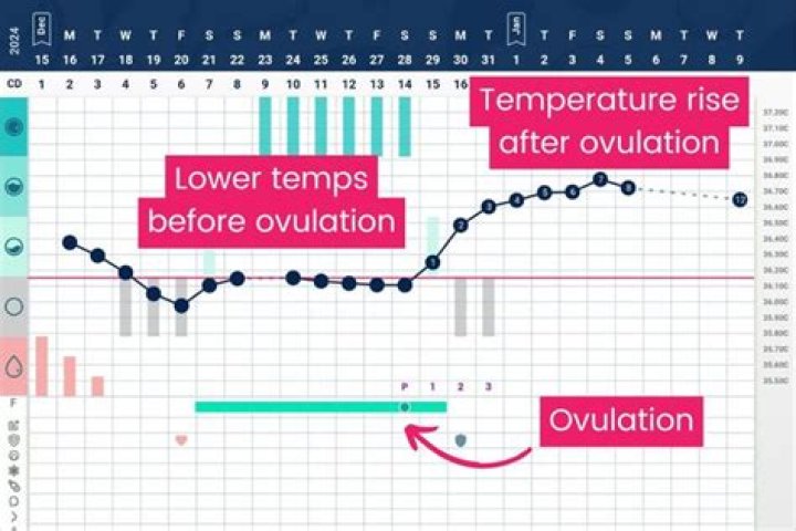Does temperature drop before period