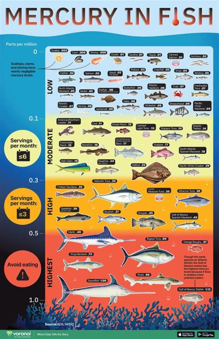 Does tuna fish have mercury
