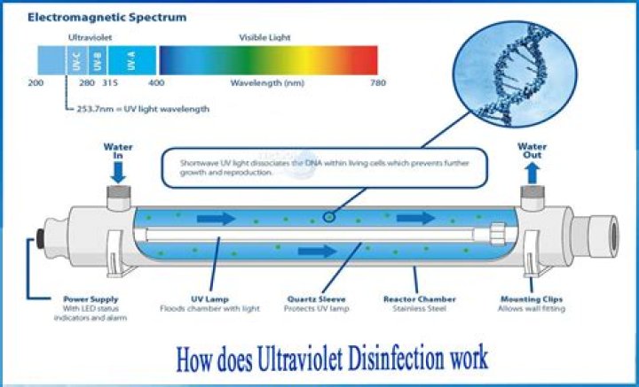 Does UV light affect chlorine
