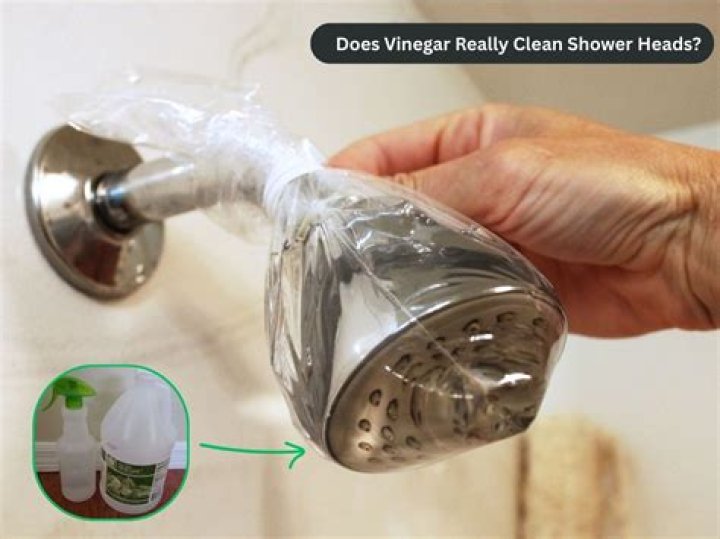 Does vinegar really repel ticks