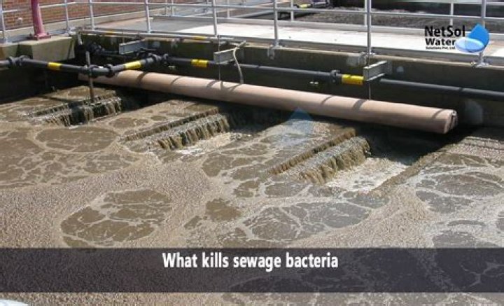 Does white vinegar kill bacteria in septic tank