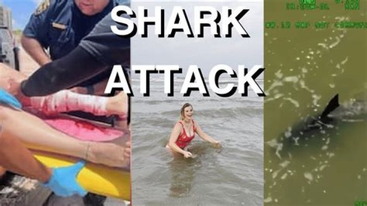 Has there ever been a shark attack in South Padre Island