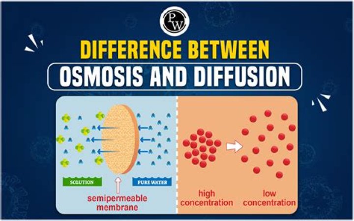 How are diffusion osmosis and active transport similar and different