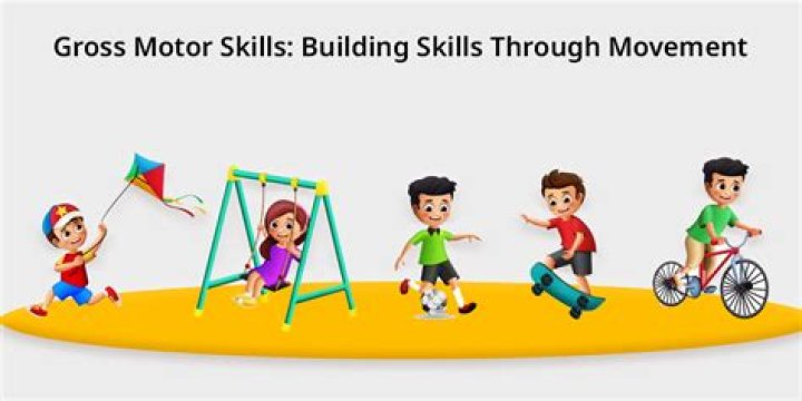 How are gross motor skills different from fine motor skills