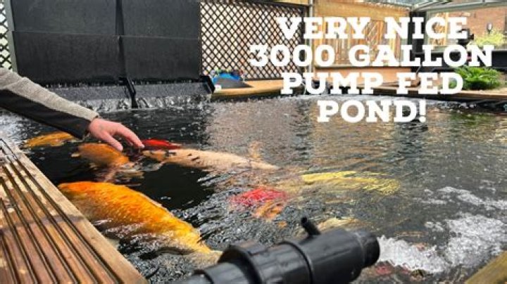 How big is a 3000 gallon pond
