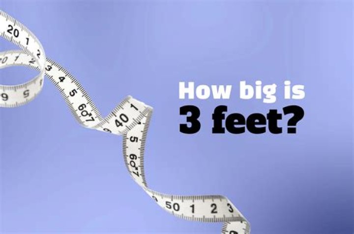How big is IKEA Charlotte