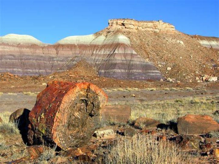 How big is Petrified Forest National Park