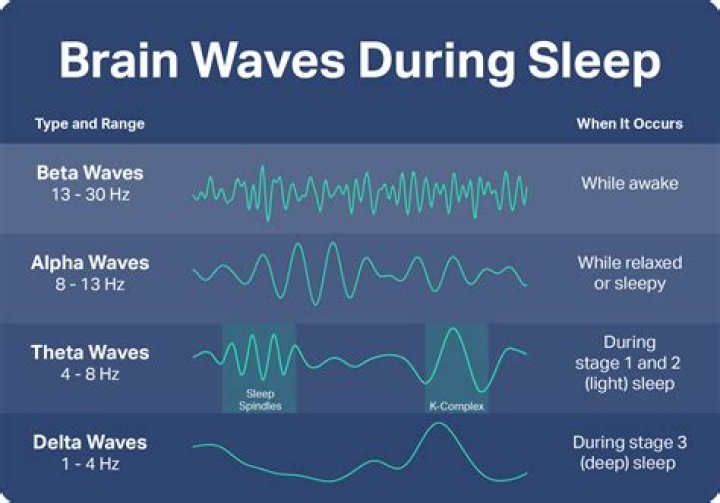 How can brain waves produced during REM sleep be described