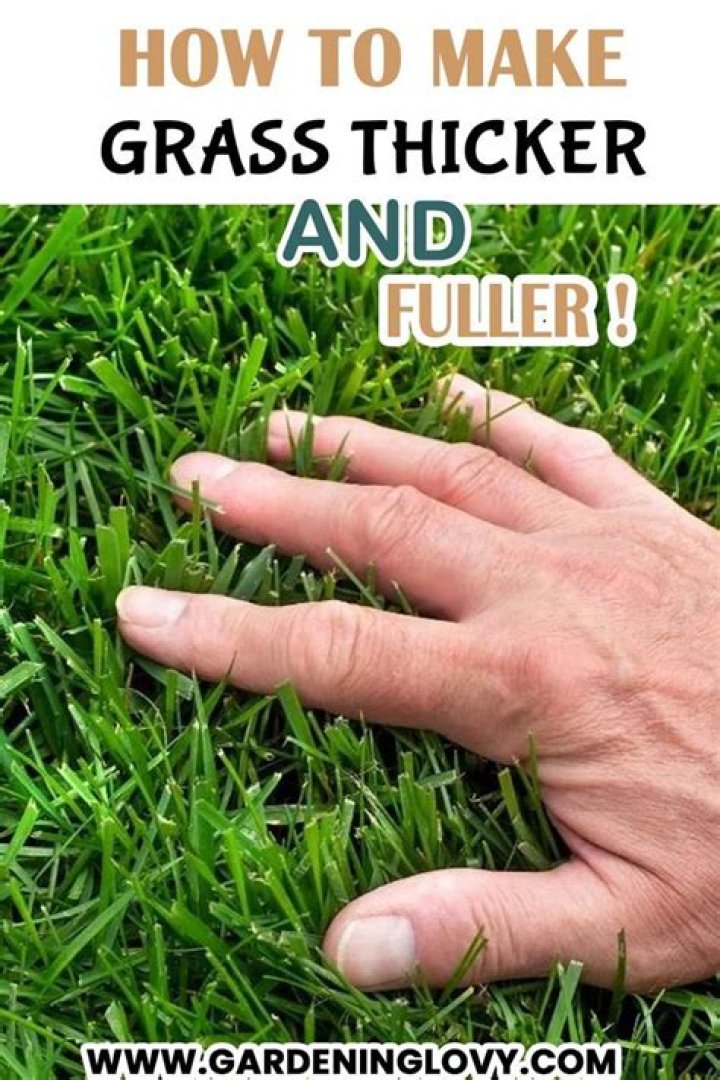 How can I make my grass greener and thicker
