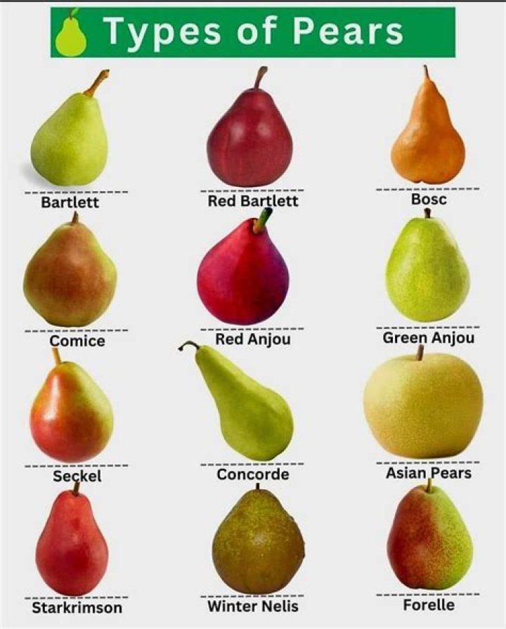 How can I tell what kind of pears I have