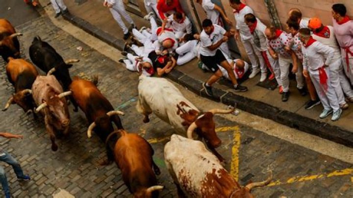 How can I watch the running of the bulls