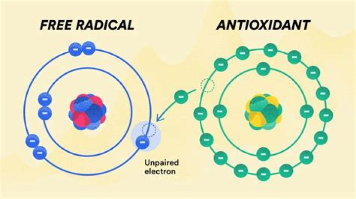 How can we reduce free radicals