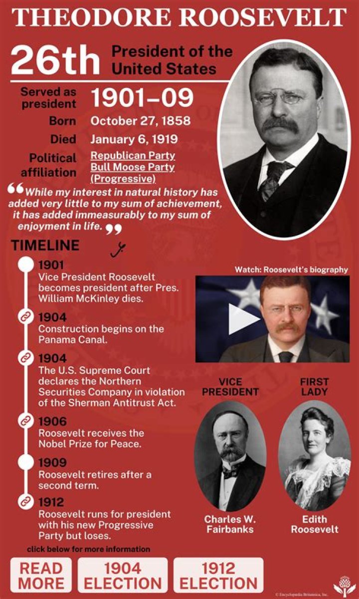 How did Theodore Roosevelt affect the progressive movement quizlet