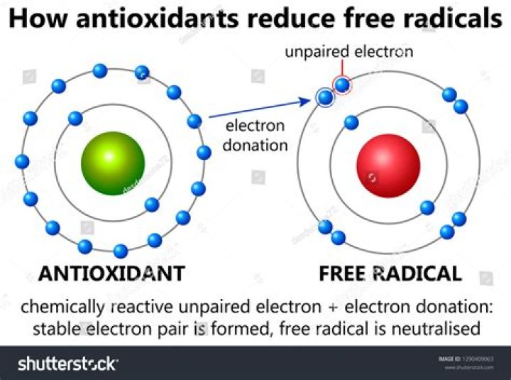 How do antioxidants neutralize free radicals