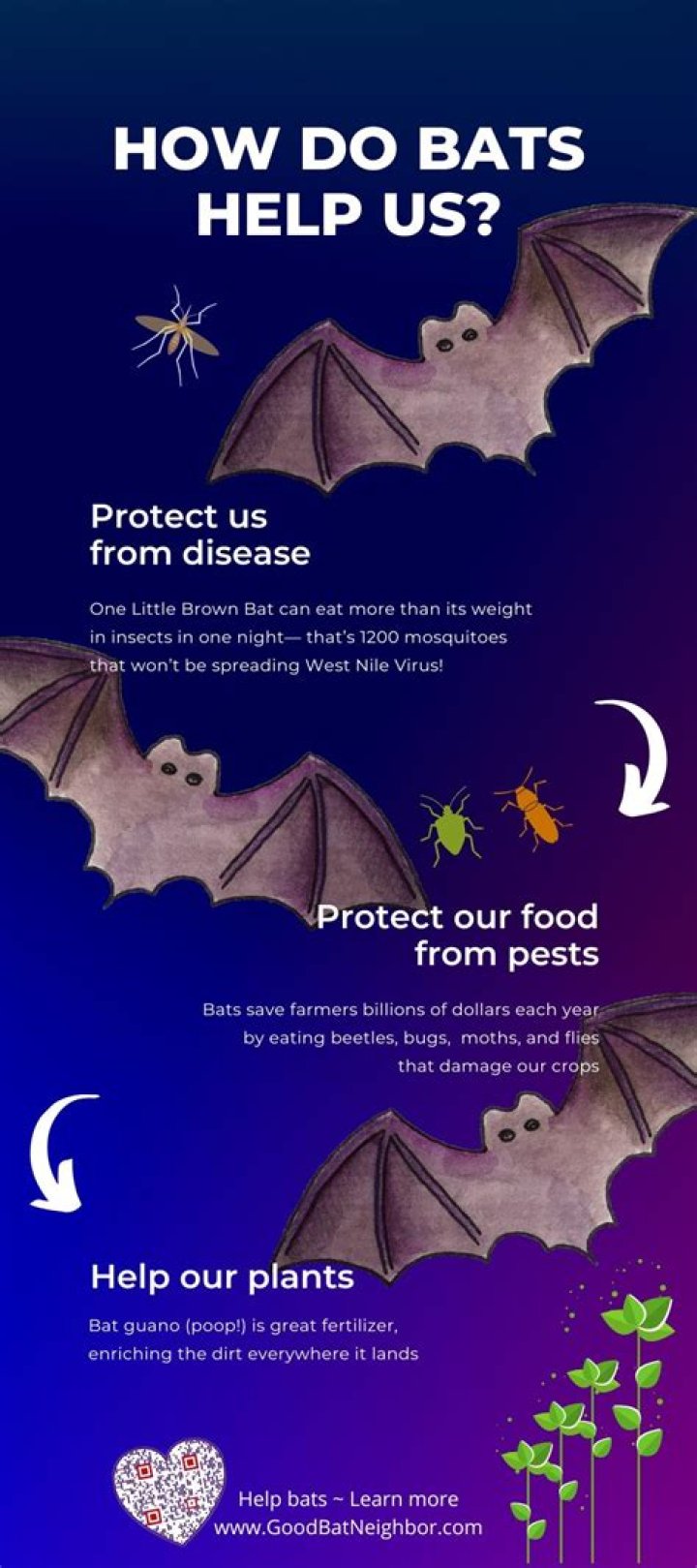 How do bats help plants