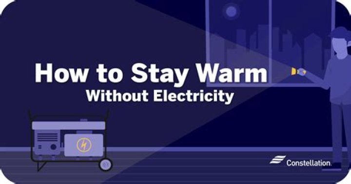 How do birds stay warm without electricity