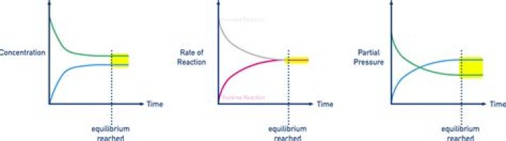 How do equilibrium reactions work