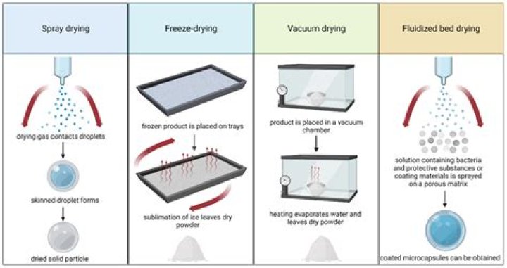 How do granules differ from powders