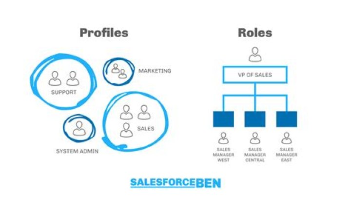 How do I assign roles in Salesforce