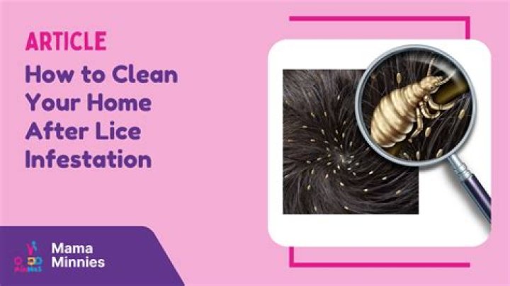 How do I clean my salon after lice