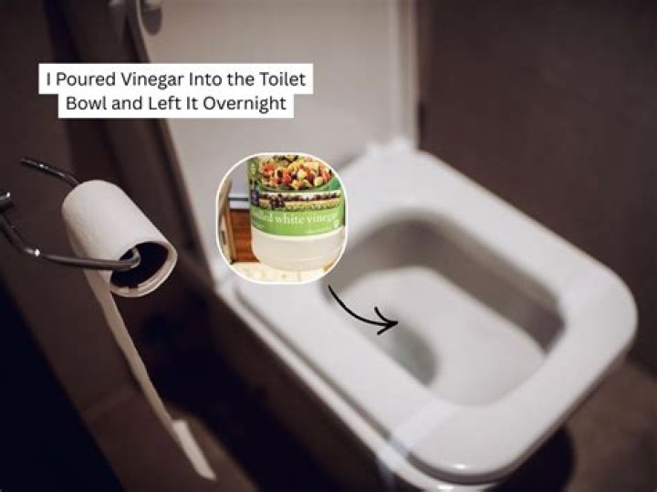 How do I clean my toilet with white vinegar