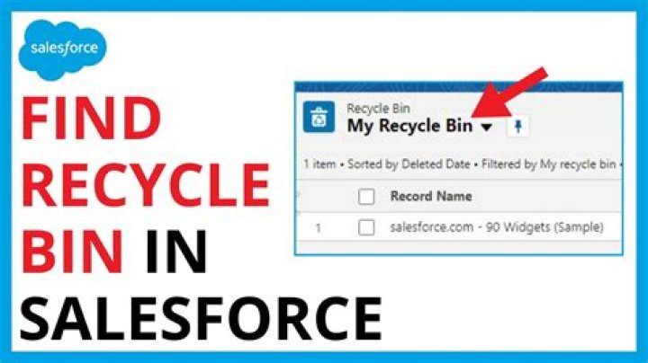 How do I empty the Recycle Bin in Salesforce